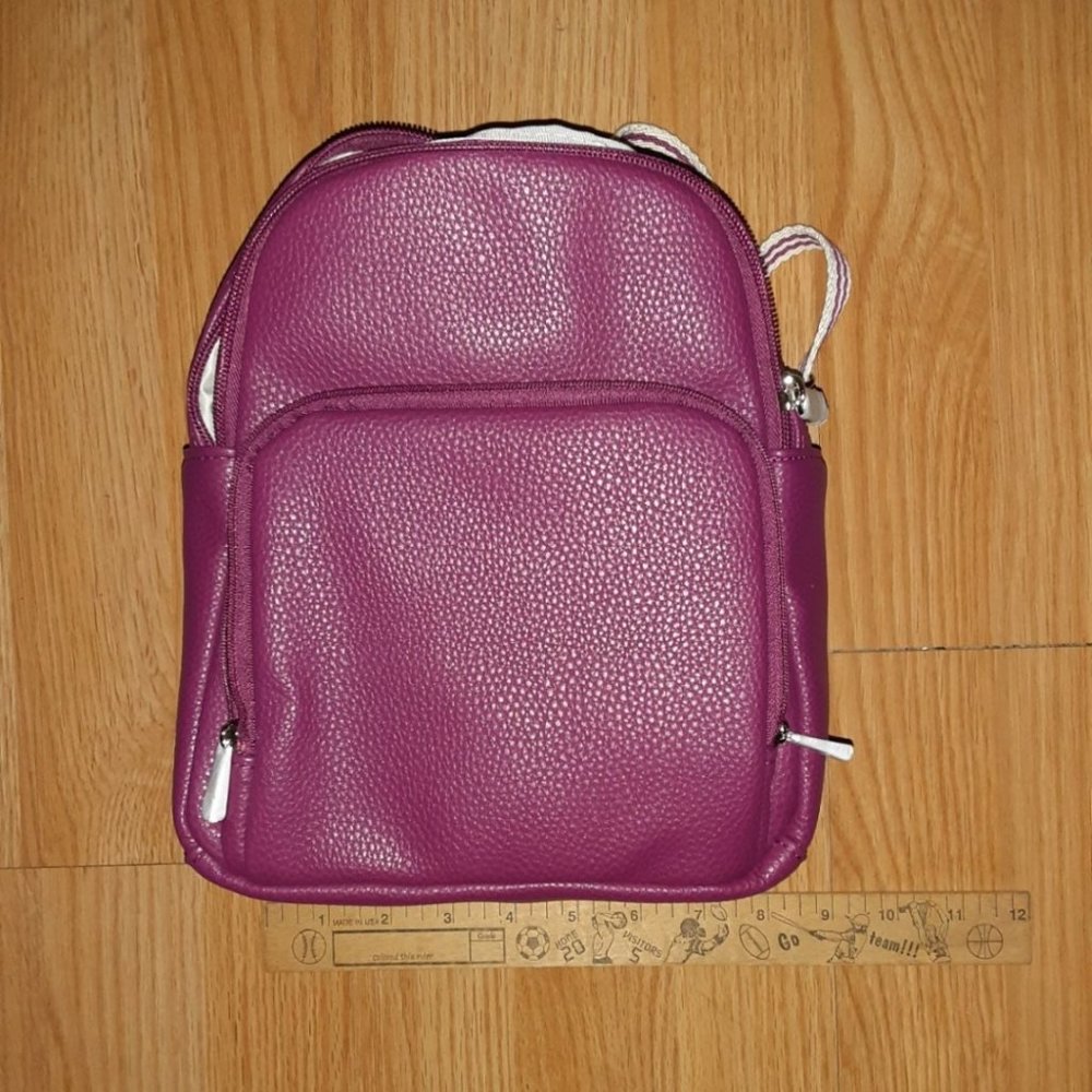 31 Backback